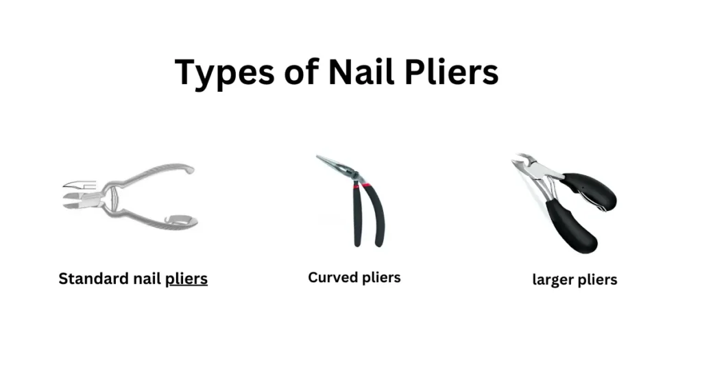 Types of Nail Pliers: Tailoring to Individual Needs